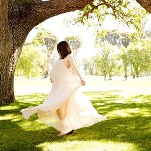 BCBGMAXAZRIA pleated maxi dress with sheer bottom